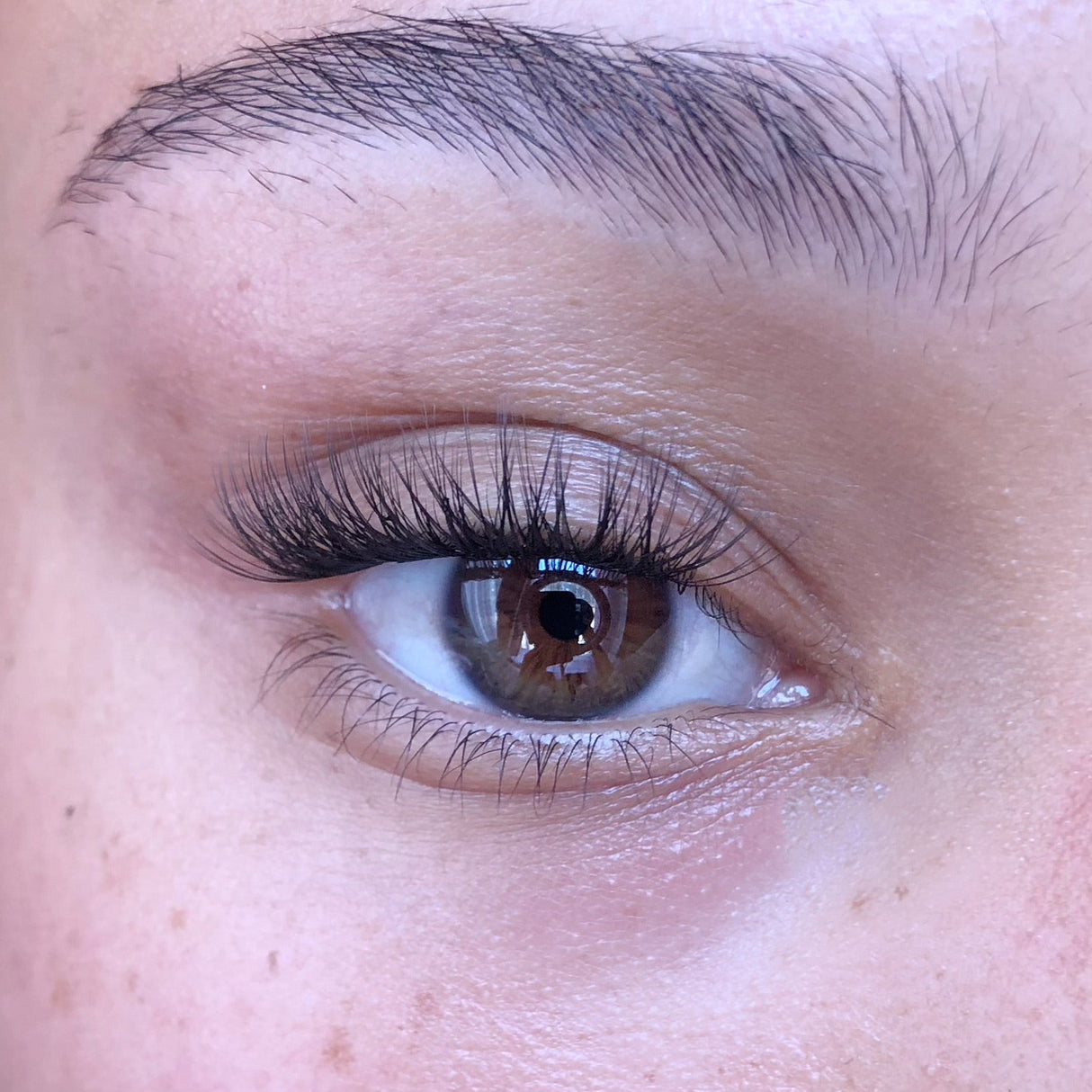 PRE GLUED, 7 DAY WEAR CLUSTER LASHES
