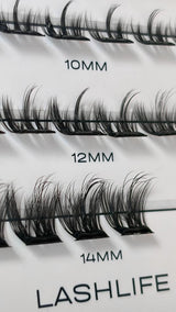 Limited Edition instantxtensions