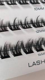 Limited Edition instantxtensions