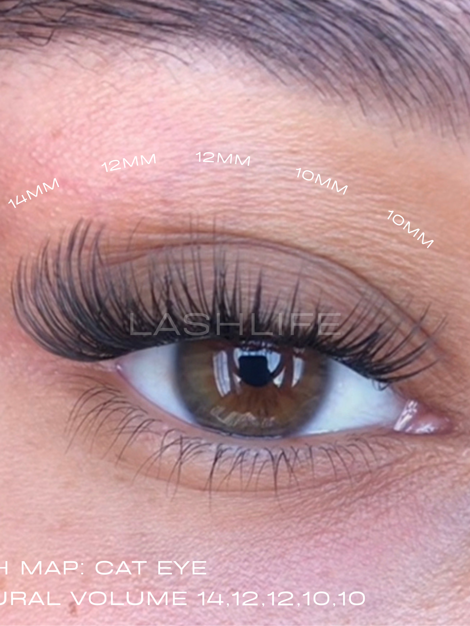 THE ULTIMATE  KIT 1 [Free Shipping]