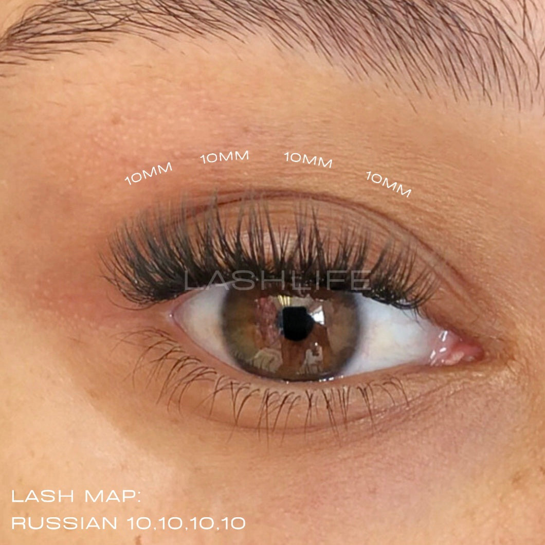 THE ULTIMATE  KIT 1 [Free Shipping]