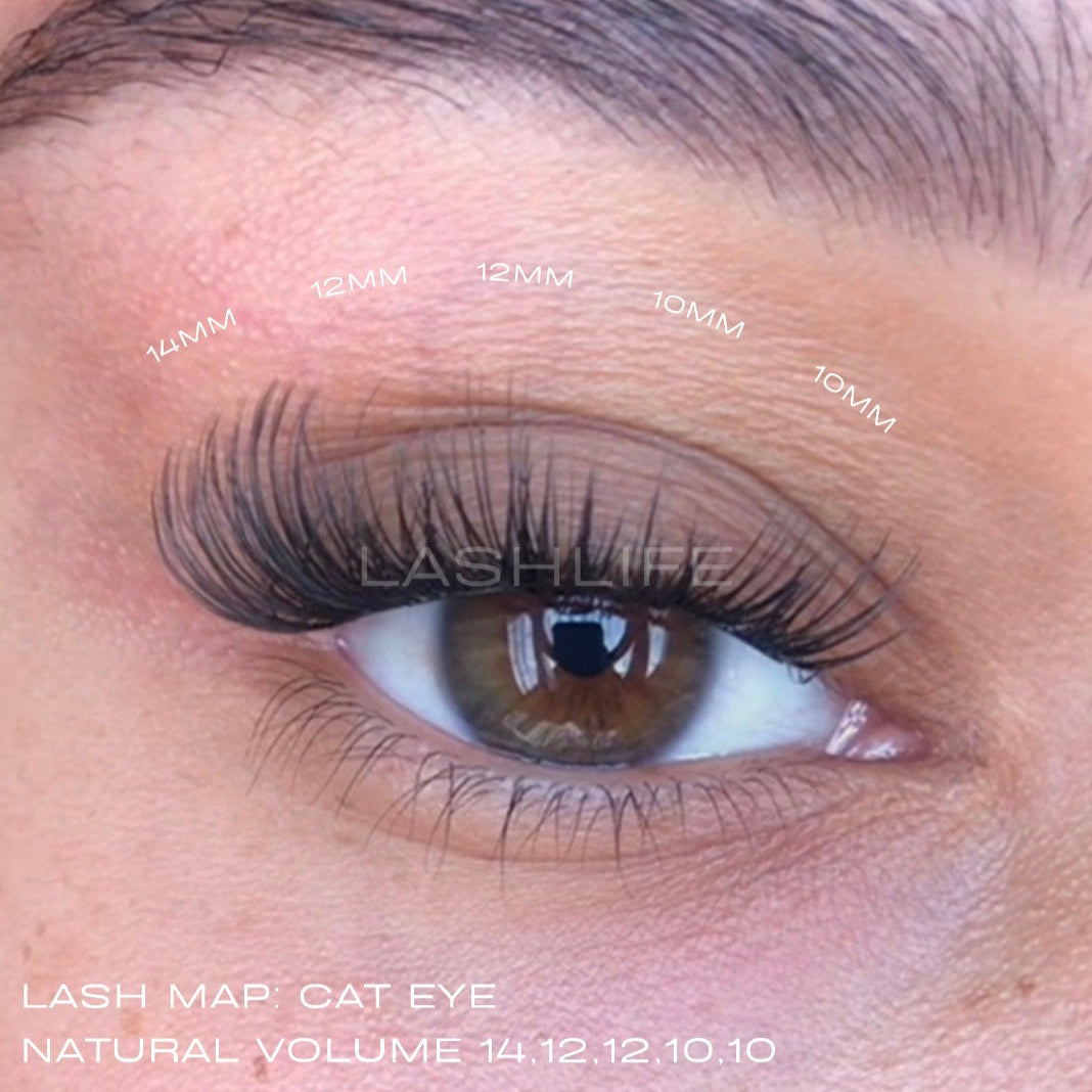 NATURAL VOLUME(CC Curl)