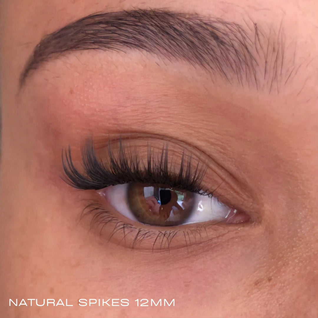 THE ULTIMATE  KIT 1 [Free Shipping]